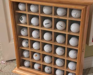 Golf balls from around Michigan