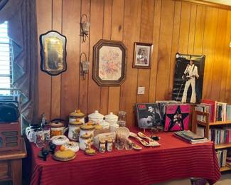 Living Room, records, Elvis, Mushroom decor