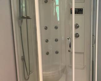 Aston Walk in Steam Shower