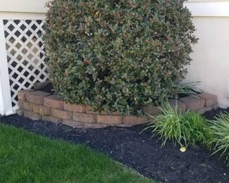 Hardscape
