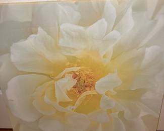 ARISTURING Flower Canvas Wall Art
