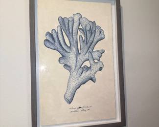 "Sea Coral Study I" by Melissa Wang