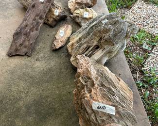 petrified wood