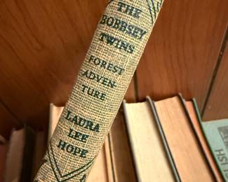 The BOBBSEY Twins!