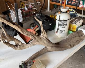 Beautiful piece of driftwood