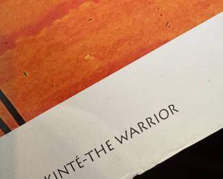 KINTE-The Warrior 
