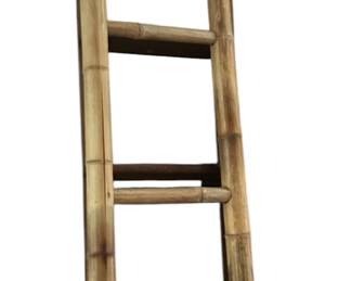 Antiques Rolling Library Ladder and Bamboo Ladder