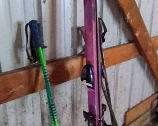 Salomon Skiis