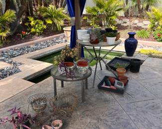 Succulents & pots
