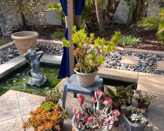 Potted succulents!