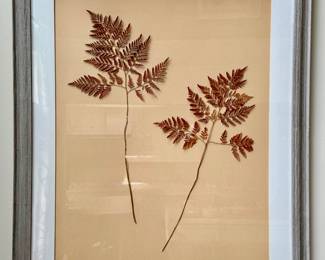 Framed Dried Flowers
