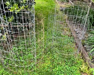 Vegetable cages from hog wire- have 8 or so