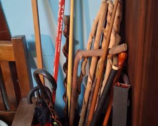 Walking Sticks
