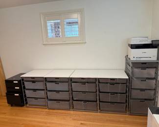 File Cabinet, Mesh Storage Drawers, Printer.