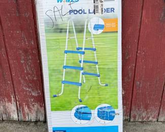 133 SummerWaves36PoolLadder