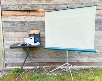 134 QKKMiniProjectorRollupScreen