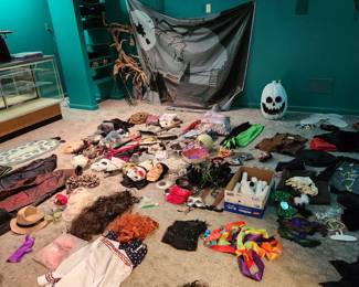 Halloween costumes and decor