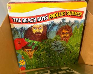 . . . Beach Boys