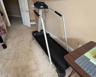 . . . treadmill