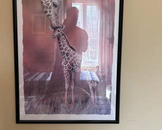 . . . giraffe photo
