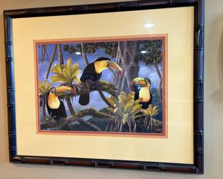. . . toucans