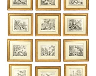 Lot 83: Pieter Casteels III 12 Studies of Birds Etchings