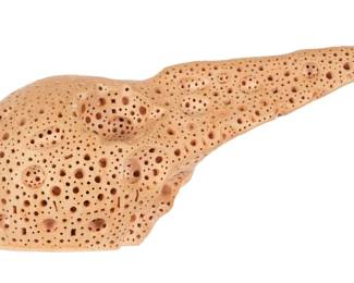 Lot 103: Alexander Ney Bird Head Terracotta Sculpture