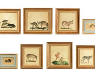 Lot 84: Eight Robert Kretschmer Watercolor Studies of Animals