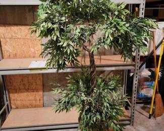 6 Accent Tree