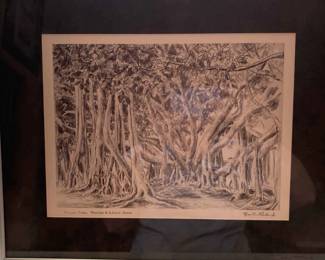 Framed Banyan Tree More