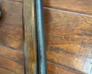 10Apr 29 2025 03 43pmoXCj