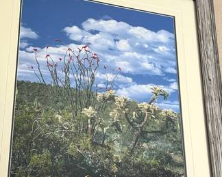 Thomas Mangelsen signed photograph Desert