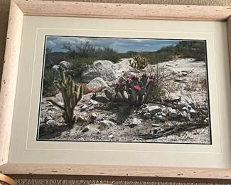 Thomas Mangelsen signed photograph. Desert