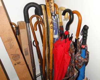 Umbrellas and Canes