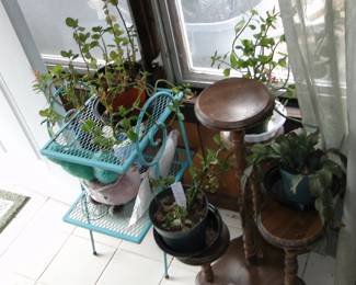 Plants, vases and plant stands