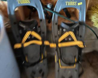 Shoe Shoes in Good Shape