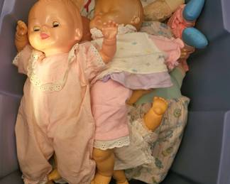 a bucket full of babies, that need a home