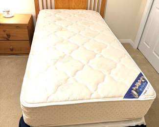 Serta Perfect Sleeper TWIN Mattress & Boxsprings (Set of 2)