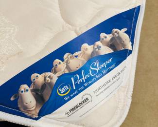 Serta Perfect Sleeper TWIN Mattress & Boxsprings (Set of 2)