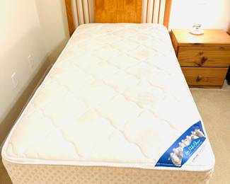 Serta Perfect Sleeper TWIN Mattress & Boxsprings (Set of 2)