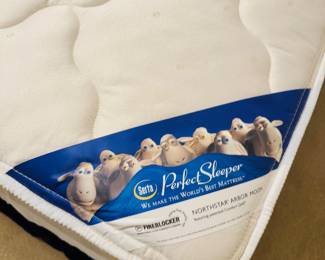 Serta Perfect Sleeper TWIN Mattress & Boxsprings (Set of 2)
