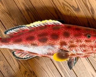 Snowy Grouper Taxidermy Fish Mount