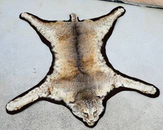 Vintage Bob Cat Taxidermy Rug Hide
Bob cat was shot by Client in the late 70’s - early 80’s in Michigan
Taxidermy is in excellent condition.
Felt on the bottom