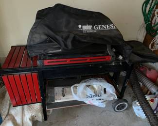 Weber Grill