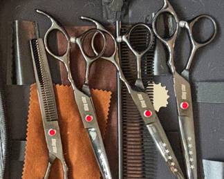 King Star professional dog groomin Set