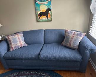 Sleeper Sofa