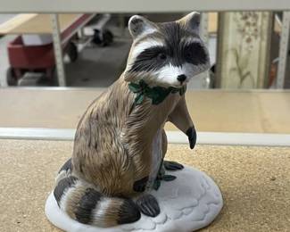 raccoon