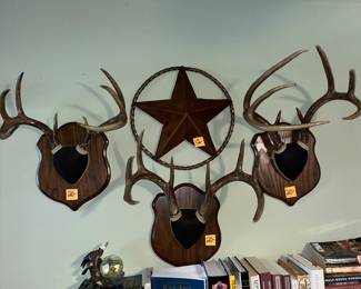 Great antler mounts!