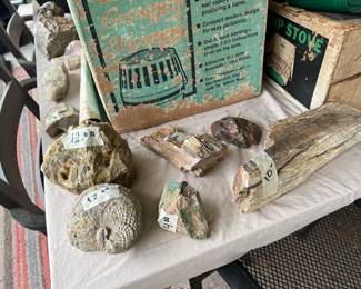 ROCK & FOSSIL COLLECTORS LOOK!