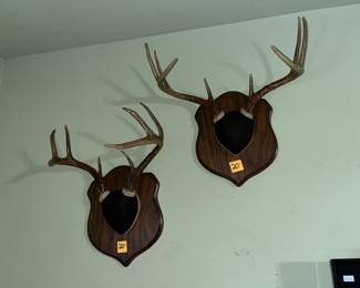 more antler mounts